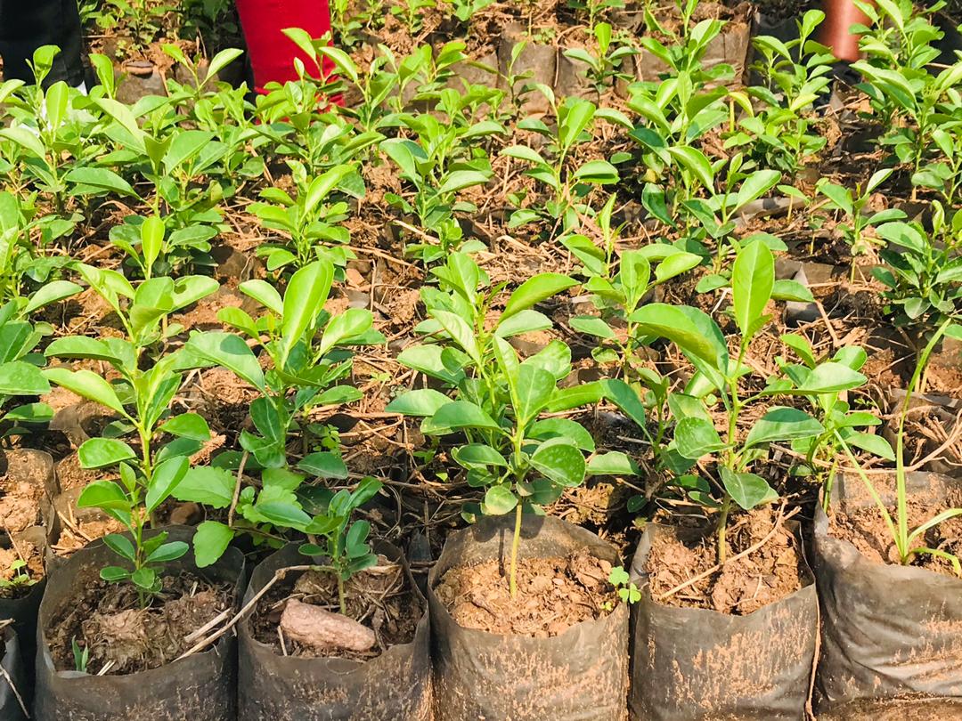 Environmental & Climate Change Capacity Building  Workshop